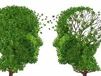 بخوانید | هر ۷ دقیقه در ایران به آلزایمر مبتلا می شود | چه چیزی به کاهش ریسک ابتلا به آلزایمر کمک می کند؟ 