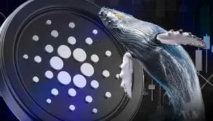 افزایش خرید نهنگ‌های کاردانو؛ آیا خبرهای مثبت در راه است؟