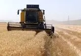 آخرین خبر از پرداخت مطالبات گندمکاران امروز پنجشنبه ۱۸ تیر ۱۴۰۵