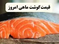 اعلام به‌روزترین قیمت انواع ماهی امروز چهارشنبه ۷ خرداد ۱۴۰۴ | هر کیلو قزل آلا امروز چند؟