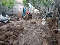 پرداخت بیش از ۱۴۳ میلیارد ریال تسهیلات به آسیب‌دیدگان حوادث غیرمترقبه در بانک مسکن طی سال جاری / بانک مسکن، همراه پایدار روزهای سخت