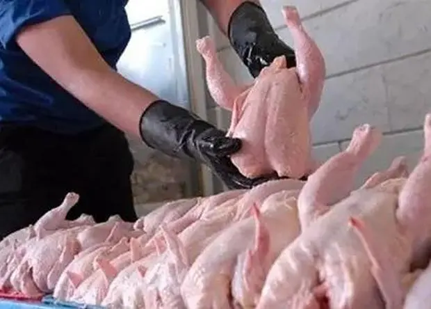 مرغ با قیمت قبل جنگ عرضه می شود؟ 