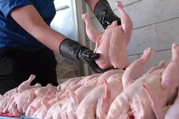 جدول قیمت مرغ امروز شنبه ۱۴ شهریور