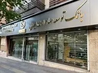 حمایت ویژه بانک توسعه صادرات ایران از صنایع با طرح ” نوید“ / تسهیل تامین سرمایه در گردش با طرح جدید