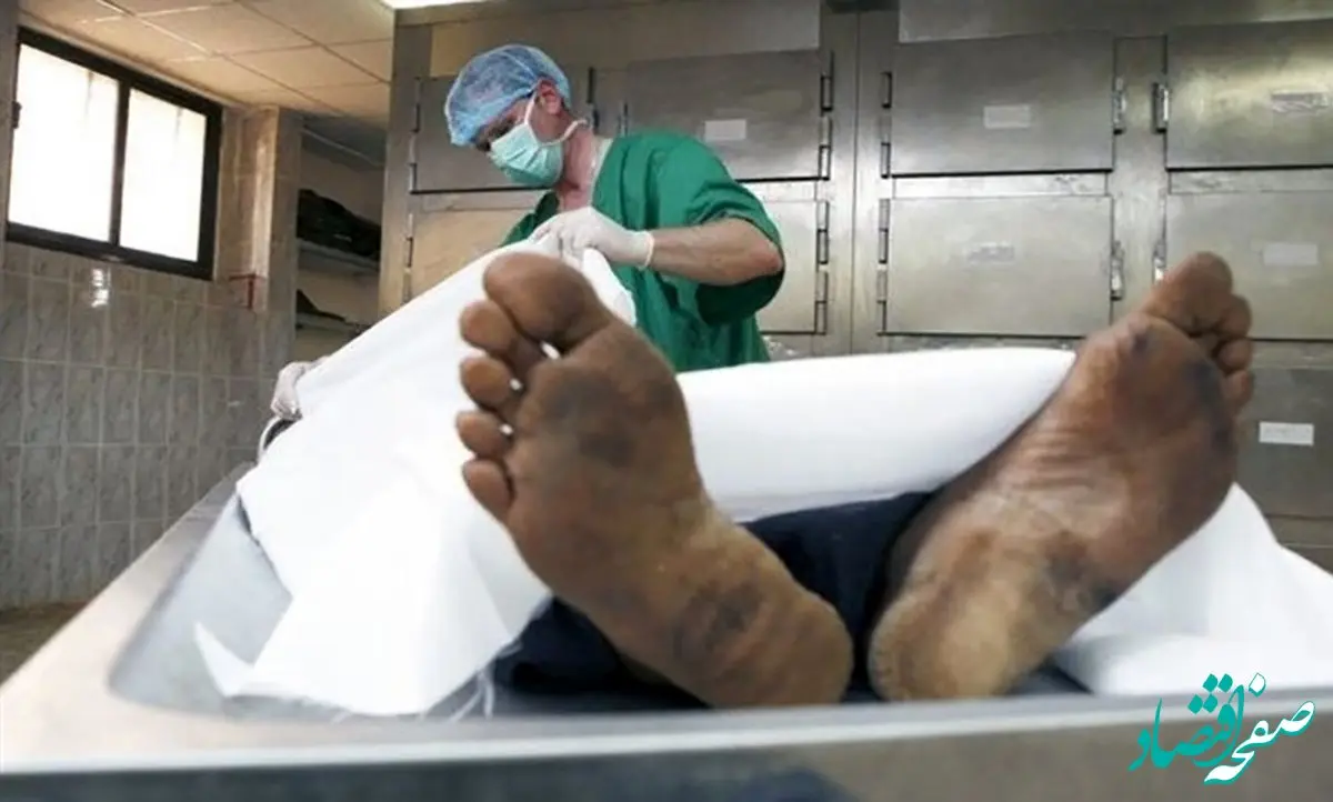 مرگ تلخ دانشجوی رشته بیوفیزیک دانشگاه تهران + 
جزئیات 