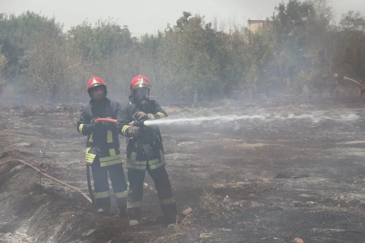 جزییات آتش‌سوزی در زمین‌های بایر مشهد/ احتمال سرایت آتش به مناطق مجاور به دلیل وزش باد