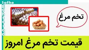 قیمت تخم مرغ امروز پنجشنبه ۱۸ مرداد ماه ۱۴۰۳ + قیمت هرشانه تخم مرغ + جدول