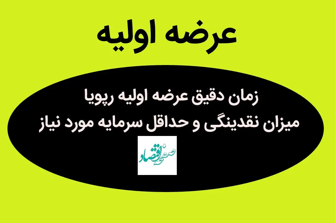 همه چیز درباره زمان دقیق عرضه اولیه رپویا | میزان نقدینگی و حداقل سرمایه مورد نیاز | عرضه اولیه پرطرفدار