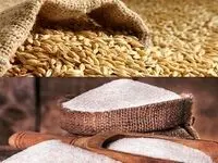 مطالبات گندمکاران تا پایان شهریور تسویه می شود/
توزیع شکر با قیمت عمده