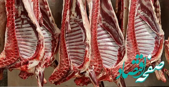 چرا پرداخت یارانه به دامداران داخلی از واردات گوشت ارزان‌تر بهتر است؟ | یارانه به دامداران داخلی یا ارز ارزان برای گوشت وارداتی؟ 