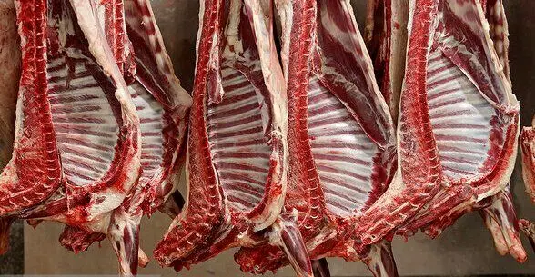 چرا پرداخت یارانه به دامداران داخلی از واردات گوشت ارزان‌تر بهتر است؟ | یارانه به دامداران داخلی یا ارز ارزان برای گوشت وارداتی؟ 