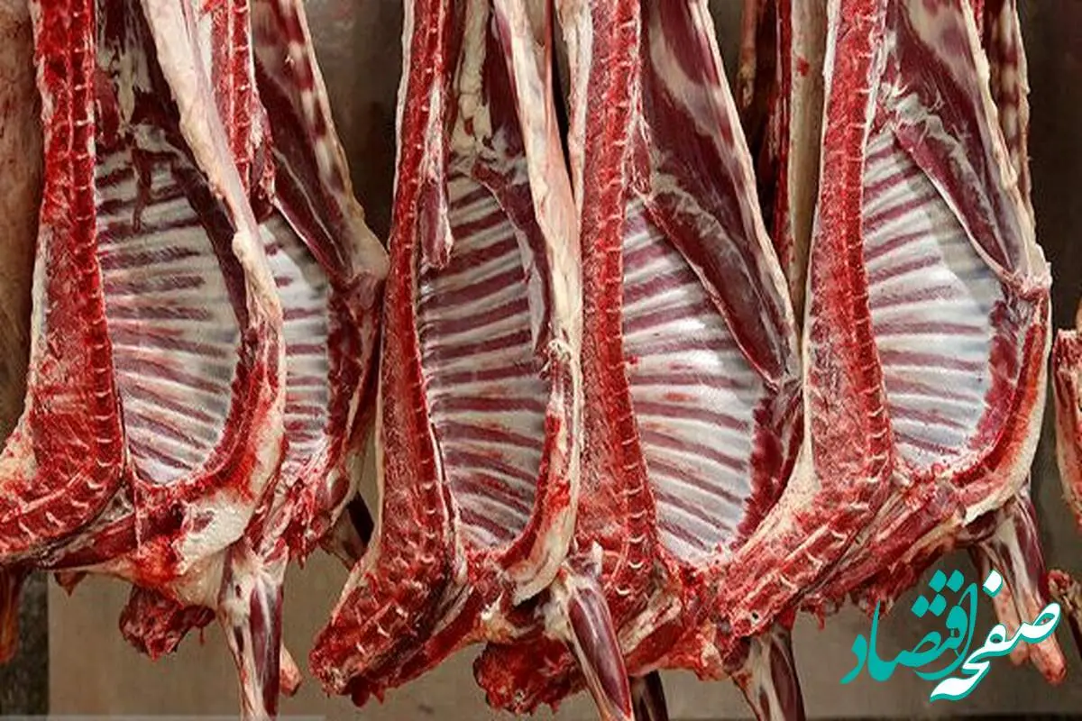 چرا پرداخت یارانه به دامداران داخلی از واردات گوشت ارزانتر بهتر است؟ | یارانه به دامداران داخلی یا ارز ارزان برای گوشت وارداتی؟