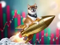 شایعاتی که بازار را تکان داد | DOG در آستانه حضور در صرافی‌های بزرگ