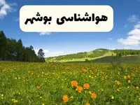 پیش‌بینی دقیق هواشناسی بوشهر فردا دوشنبه ۲۲ اردیبهشت ۱۴۰۴ | وضعیت آب‌ و هوا بوشهر در ۲۴ ساعت آینده + هواشناسی شهرستان های بوشهر