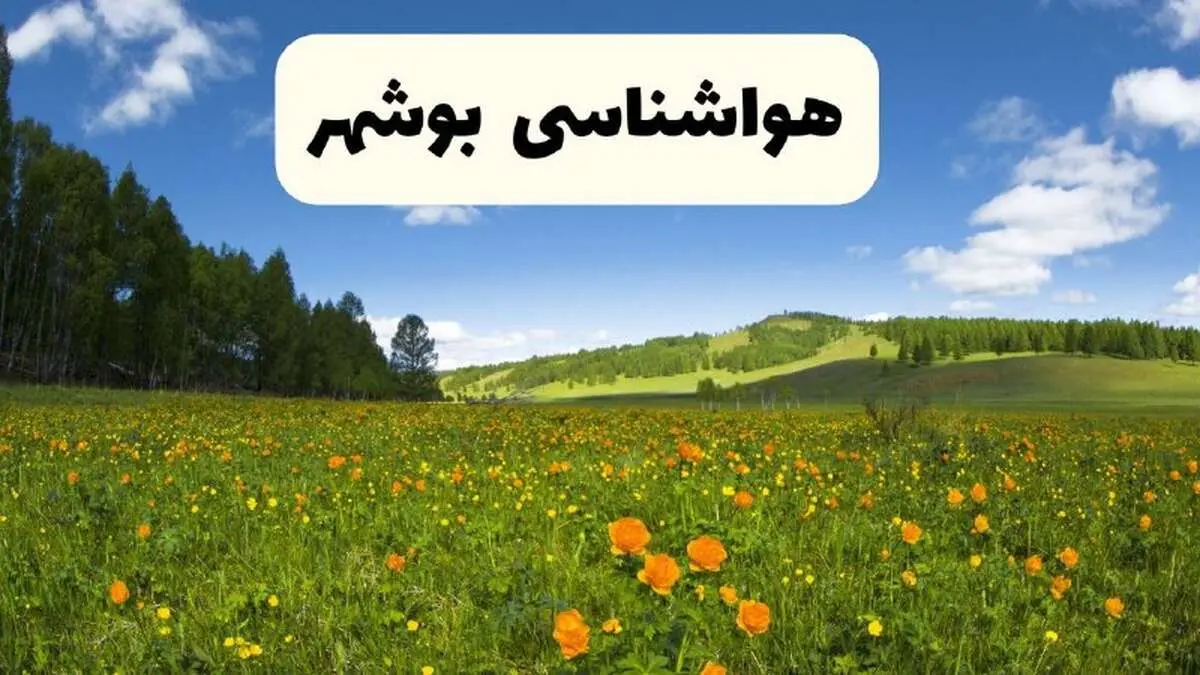 پیش‌بینی دقیق هواشناسی بوشهر فردا دوشنبه ۲۲ اردیبهشت ۱۴۰۴ | وضعیت آب‌ و هوا بوشهر در ۲۴ ساعت آینده + هواشناسی شهرستان های بوشهر