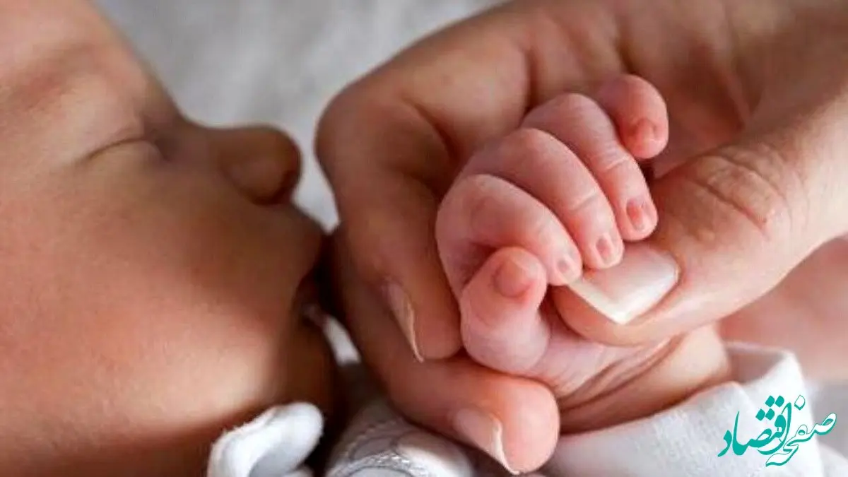 نحوه دریافت سهام نوزدان اعلام شد + لینک ثبت‌نام