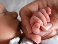 نحوه دریافت سهام نوزدان اعلام شد + لینک ثبت‌نام