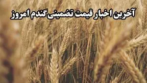 آخرین خبر از خرید تضمینی گندم امروز یکشنبه ۶ اردیبهشت ۱۴۰۵ | ارز واردات گندم دوباره به این مبلغ رسید