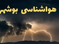 آخرین پیش‌ بینی آب و هوا بوشهر برای چهارشنبه ۱۵ اسفند ۱۴۰۳ | وضعیت هوای بوشهر فردا چطور است؟ + هواشناسی بوشهر