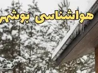 پیش بینی وضعیت آب و هوا بوشهر فردا پنجشنبه ۲ اسفند ماه ۱۴۰۳ | اخبار هواشناسی بوشهر فردا ۲ اسفند