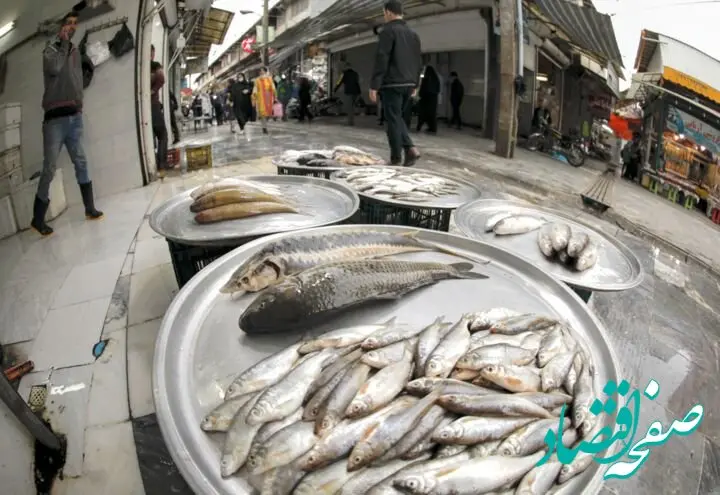 قیمت روز ماهی اعلام شد / قزل آلا کیلویی 184 هزار تومان + جدول