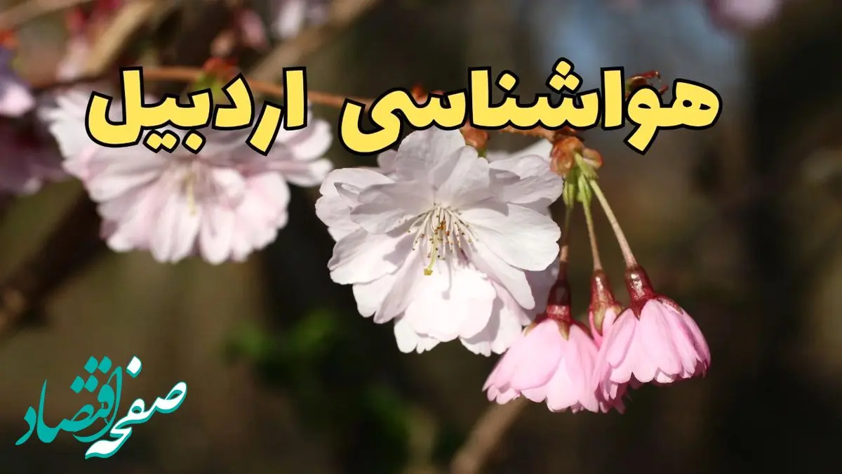 پیش بینی هواشناسی اردبیل ۲۴ ساعت آینده | وضعیت آب و هوا اردبیل فردا سه شنبه ۱۲ فروردین ماه ۱۴۰۴ | آب و هوای اردبیل در روز ۱۳ بدر 