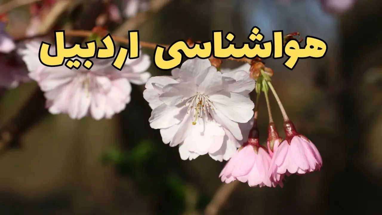 پیش بینی هواشناسی اردبیل ۲۴ ساعت آینده | وضعیت آب و هوا اردبیل فردا سه شنبه ۱۲ فروردین ماه ۱۴۰۴ | آب و هوای اردبیل در روز ۱۳ بدر 