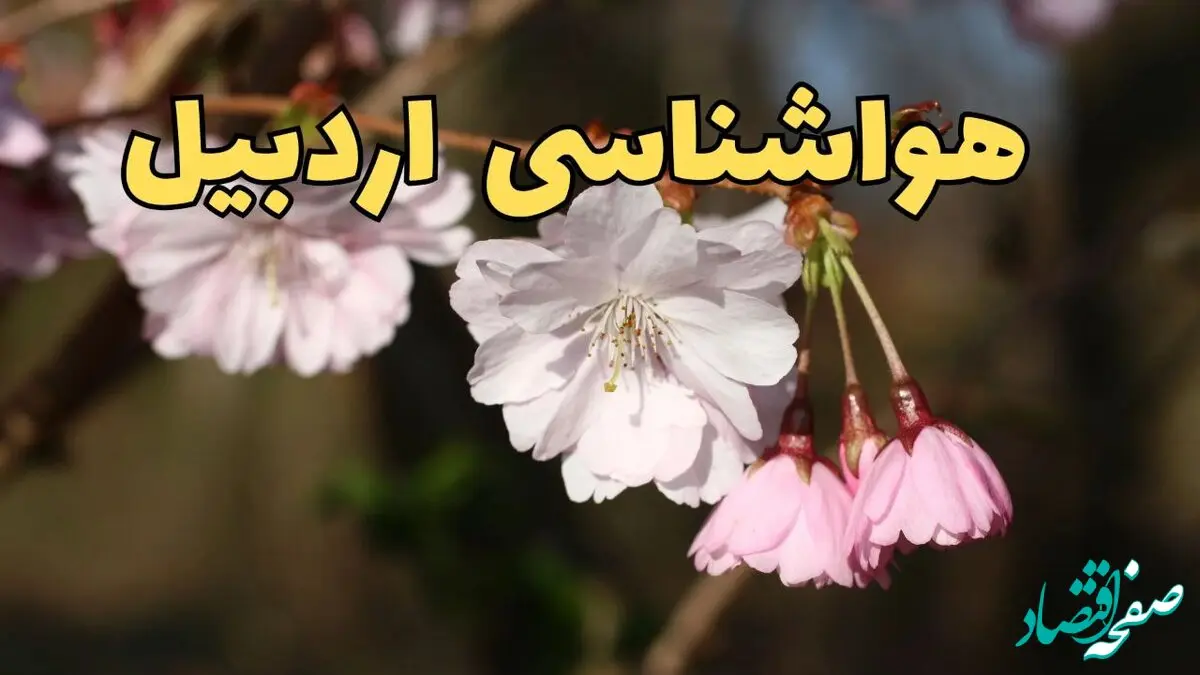 پیش بینی هواشناسی اردبیل ۲۴ ساعت آینده | وضعیت آب و هوا اردبیل فردا سه شنبه ۱۲ فروردین ماه ۱۴۰۴ | آب و هوای اردبیل در روز ۱۳ بدر 
