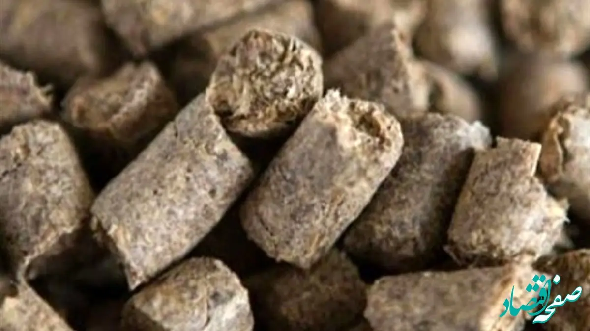 آزاد شدن صادرات تفاله چغندر و نیشکر 