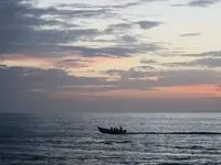 کدام ماهی چهره انسان را می‌شناسد؟