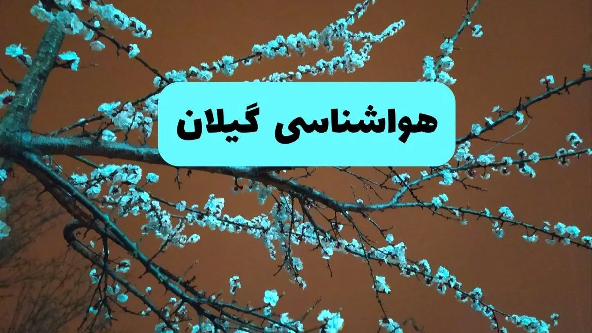 پیش بینی وضعیت آب و هوا گیلان فردا سه شنبه ۲۰ خرداد ماه ۱۴۰۴ | وضعیت هواشناسی گیلان ۲۴ ساعت آینده + هواشناسی رشت