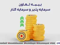 ارزش پرتفوی بیمه تعاون 300 میلیارد تومان است