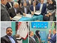 راه‌اندازی شورای راهبردی منطقه‌ای توسعه گوهرسنگ‌ها از خراسان رضوی کلید خورد