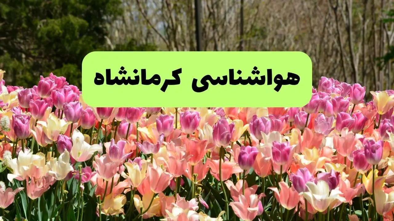 هواشناسی اسرائیل کرمانشاه ۱۰ روز آینده
