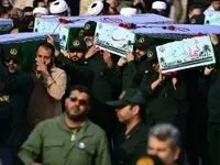 استقبال از ۴۰ پرستوی مهاجر در مرز شلمچه