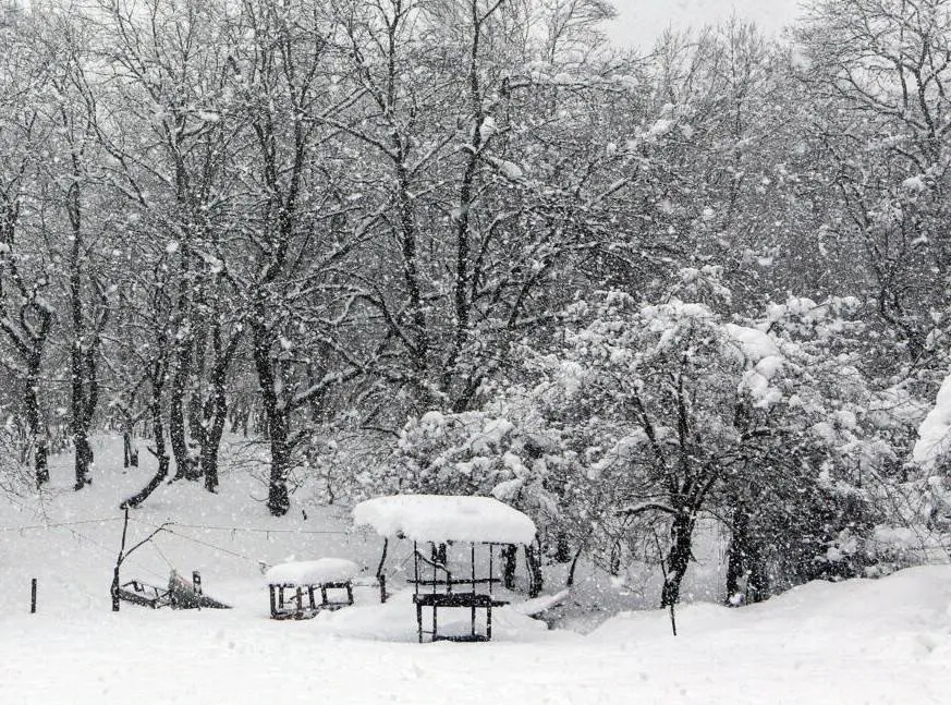 هواشناسی امروز ایران؛ ۹ استان درگیر برف و باران