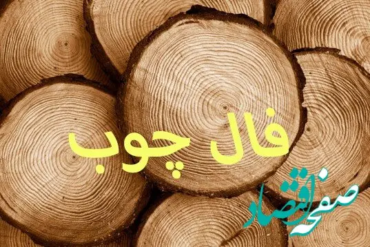 فال چوب فردا دوشنبه ۱۶ مرداد ۱۴۰۲ + فال ورق فردا دوشنبه ۱۶ مرداد ۱۴۰۲