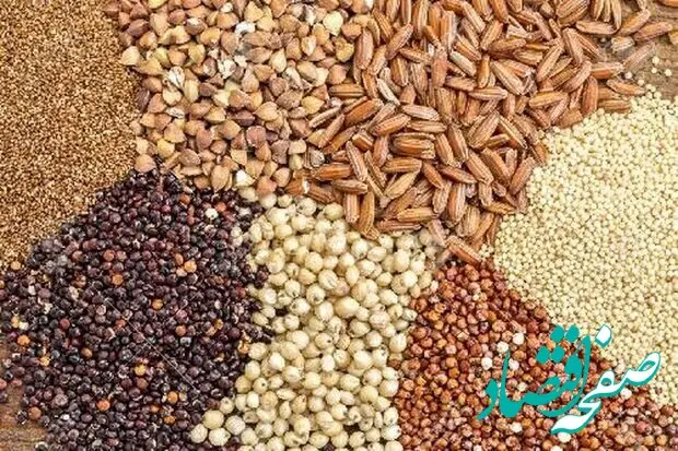 قیمت نهاده های دامی امروز یکشنبه ۲۳ فروردین ۱۴۰۵ 