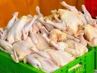 اقدام به موقع! معدوم سازی ۲۱۰ کیلوگرم گوشت مرغ فاسد در نظرآباد