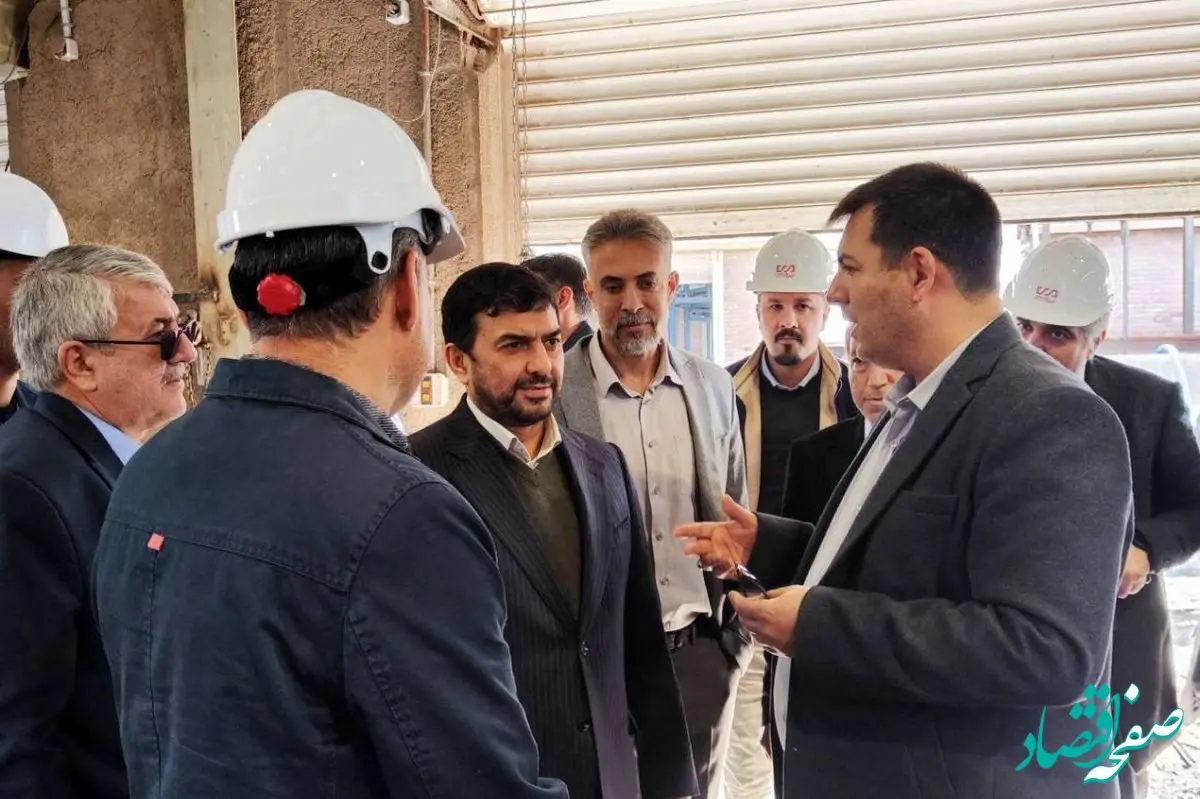 دکتر مدرس خیابانی: رفسنجان می‌تواند به قطب تولید گلوله فولادی کشور تبدیل شود