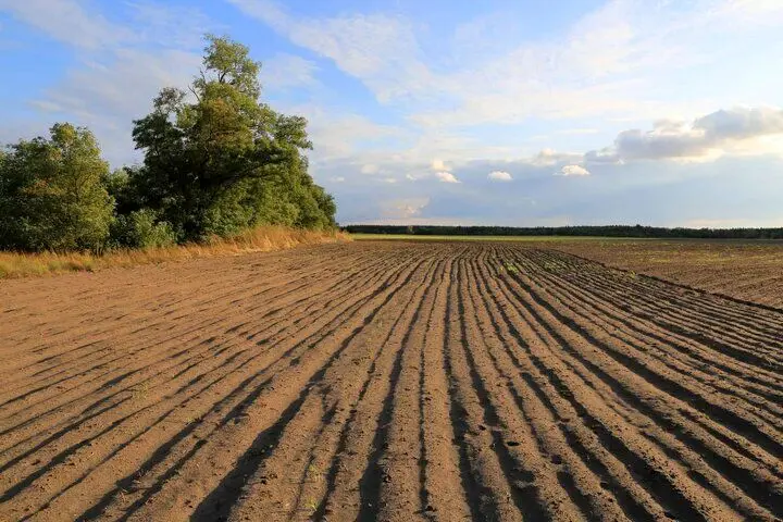 آخرین خبر از پرداخت مطالبات گندمکاران امروز سه شنبه ۲۲ اردیبهشت ماه ۱۴۰۵ | واریز روزانه مطالبات