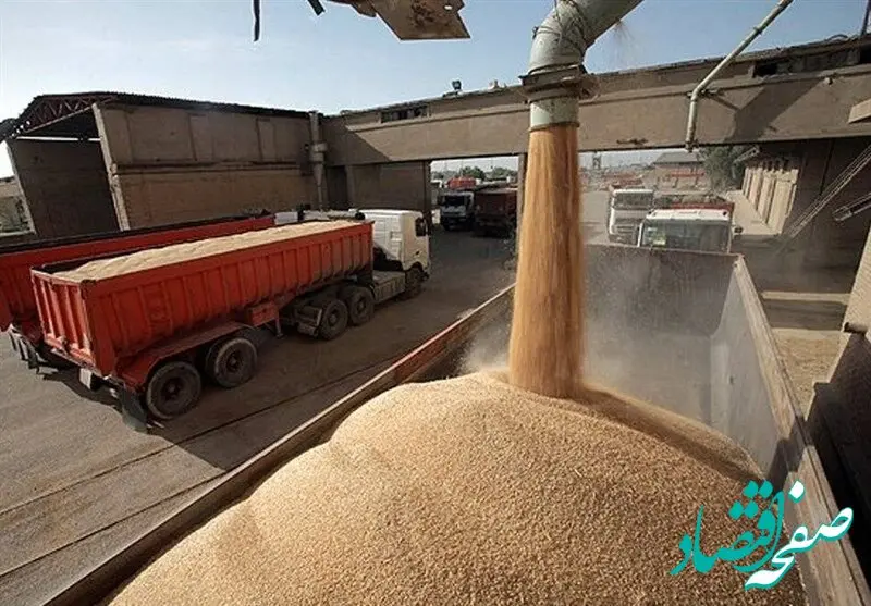 آخرین خبر از خرید تضمینی گندم از کشاورزان امروز سه شنبه ۲۱ فروردین ماه ۱۴۰۳ | گندم کیلویی چند؟ 