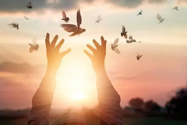 این شاکی به عشق این شخص از طلب ۲ میلیارد و ۵۰۰ میلیون ریالی گذشت کرد... 