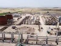 برگزاری نخستین ممیزی مدیریت ریسک در پتروشیمی دهدشت
