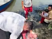 نوزاد عجول در انزلی به دنیا آمد + عکس