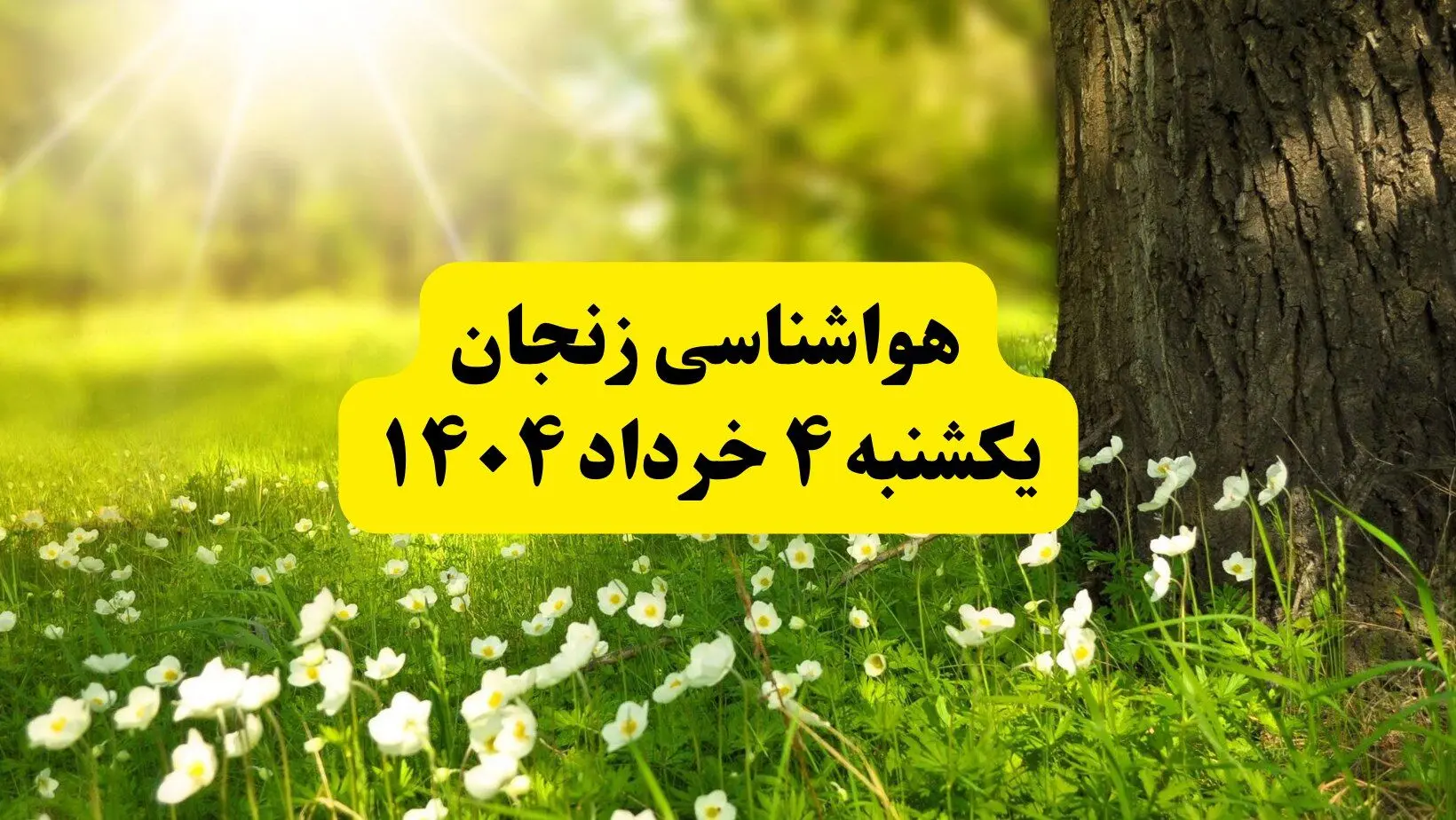 هواشناسی زنجان فردا یکشنبه ۴ خرداد ۱۴۰۴ | وضعیت آب و هوای زنجان یکشنبه چهارم خرداد ۱۴۰۴ | آخرین خبر هواشناسی استان زنجان