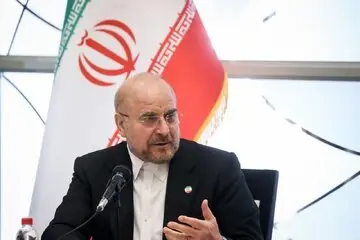 تصویر وزیر زن آفریقای جنوبی با پوشش متفاوت در دیدار با قالیباف