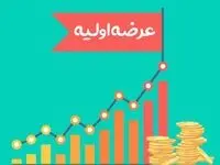 عرضه اولیه جدید سهامداران را شوکه کرد | راز عرضه اولیه‌های جدید چیست؟