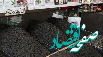 جزئیات جدید از تخلف واردات چای به گفته وزارت جهاد کشاورزی