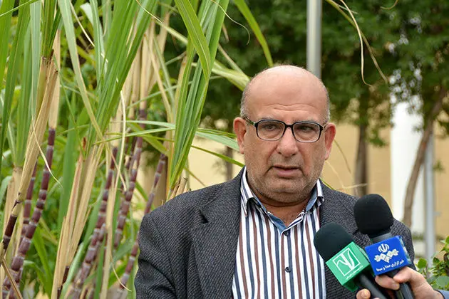 سود تجمیعی صنعت نیشکر فراتر از پیش‌بینی بودجه شد
